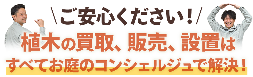 植木の買取、販売、設置はすべてお庭のコンシェルジュで解決!
